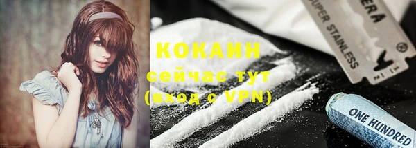 дурь Алексин
