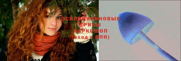 мяу мяу мука Алексеевка