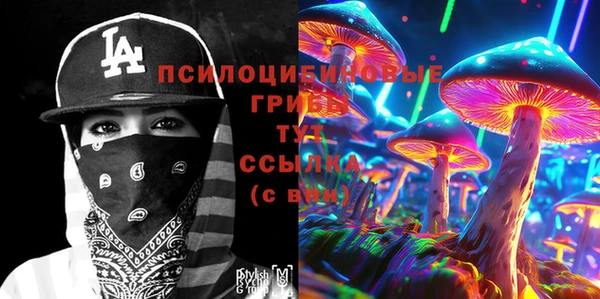 дурь Алексин
