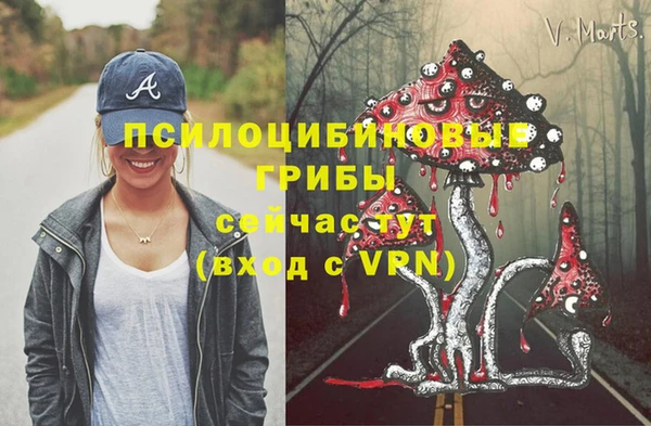 мяу мяу мука Алексеевка